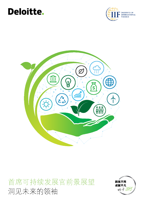 首席可持续发展官前景展望