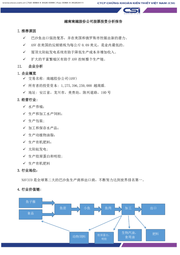 越南南越股份公司股票投资分析报告