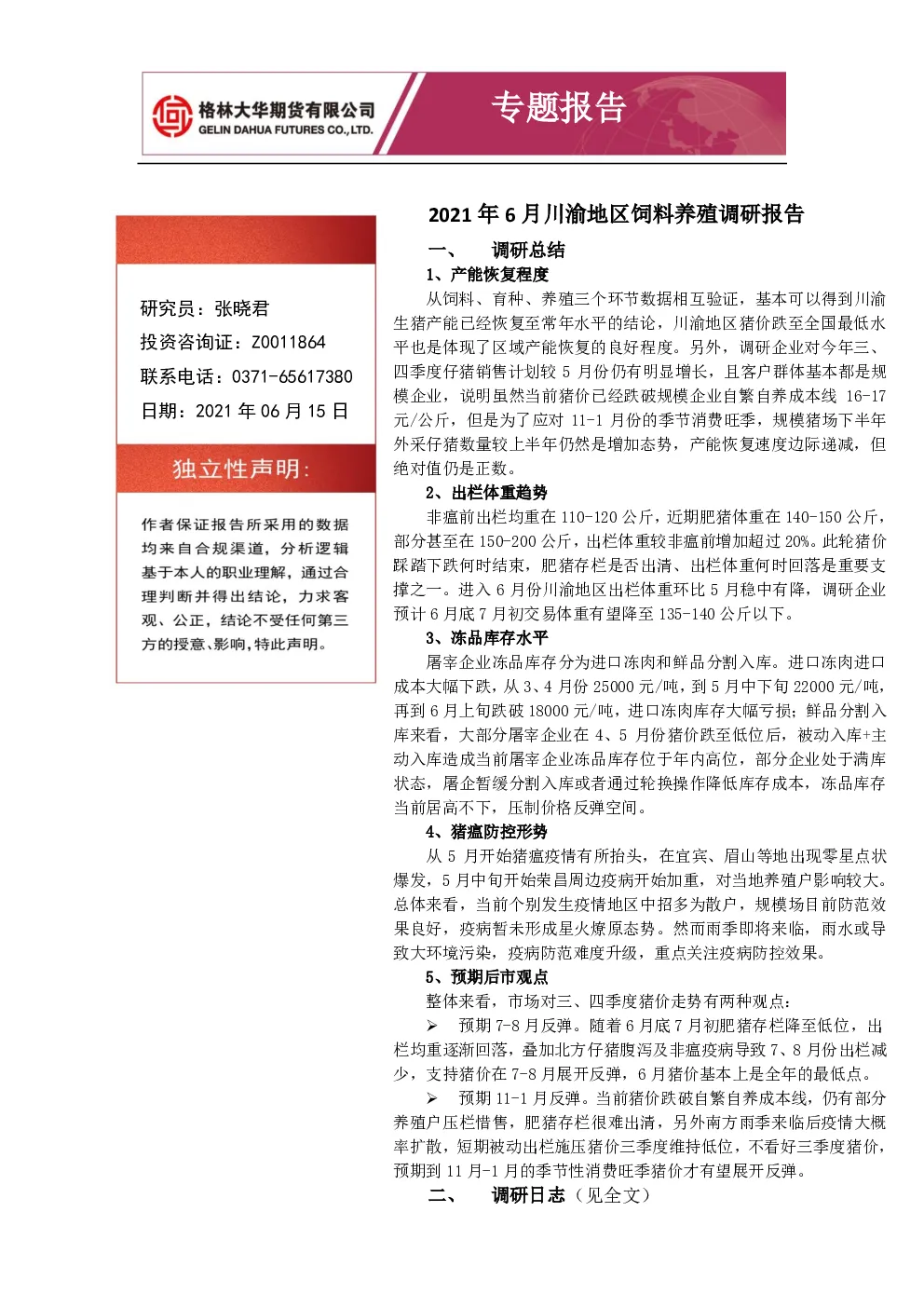 报告封面