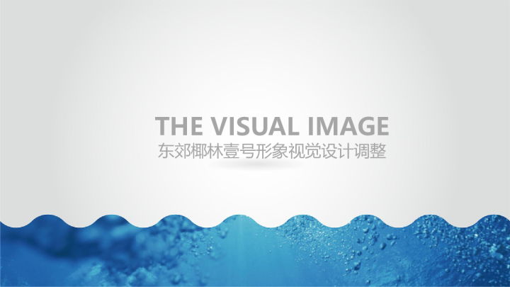 南方·东郊椰林壹号VI系设计整合