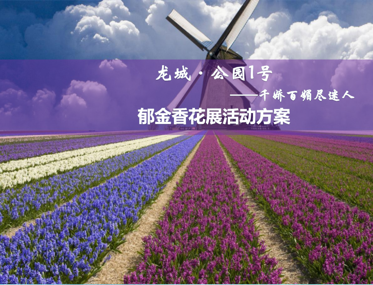 公园1号郁金香花展活动方案建议