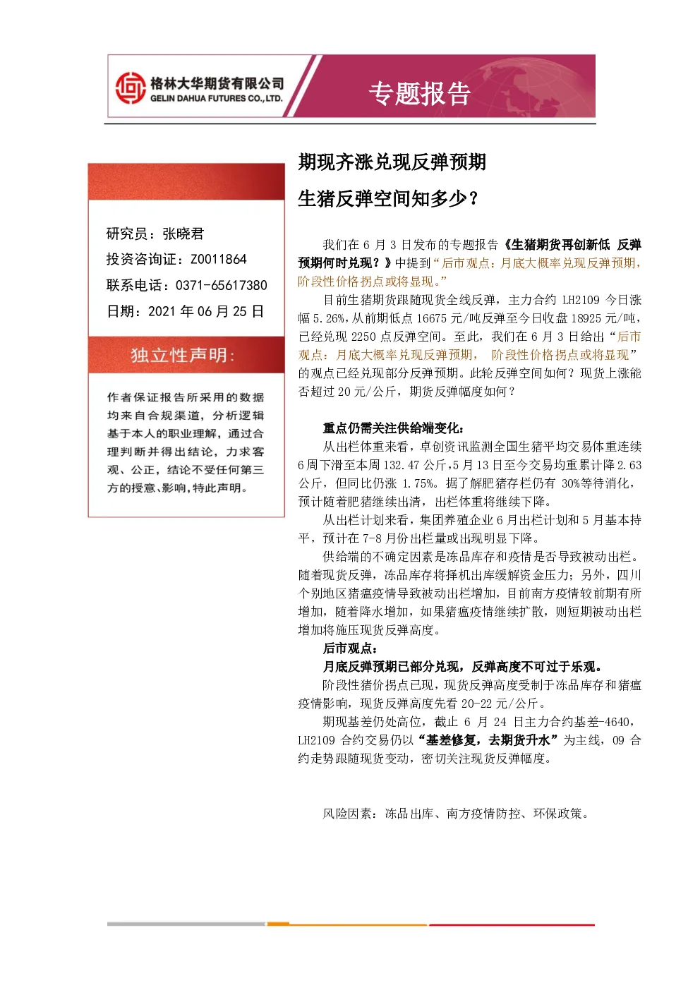 报告封面