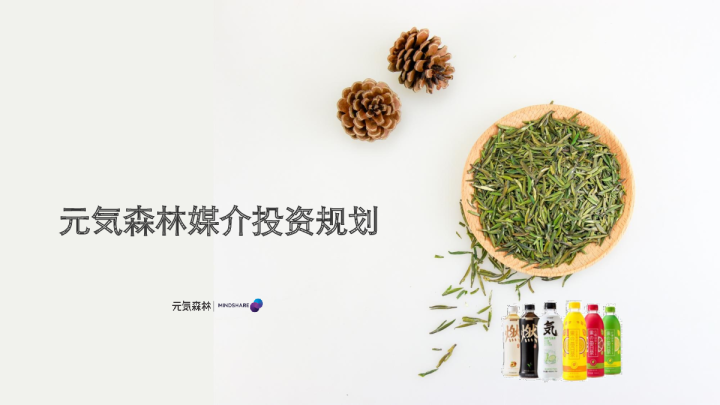 元気森林媒介投资规划【快消零售】【营销推广】