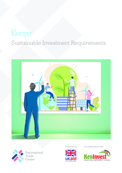 肯尼亚：可持续投资需求