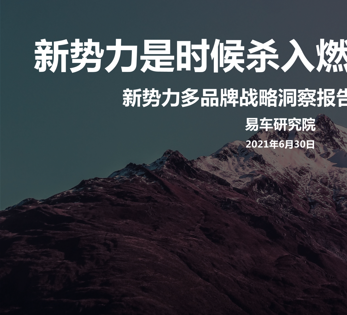 造车新势力的多品牌战略洞察