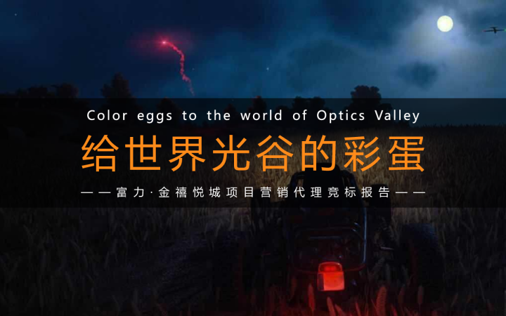 2018武汉富力·金禧悦城项目代理竞标报告