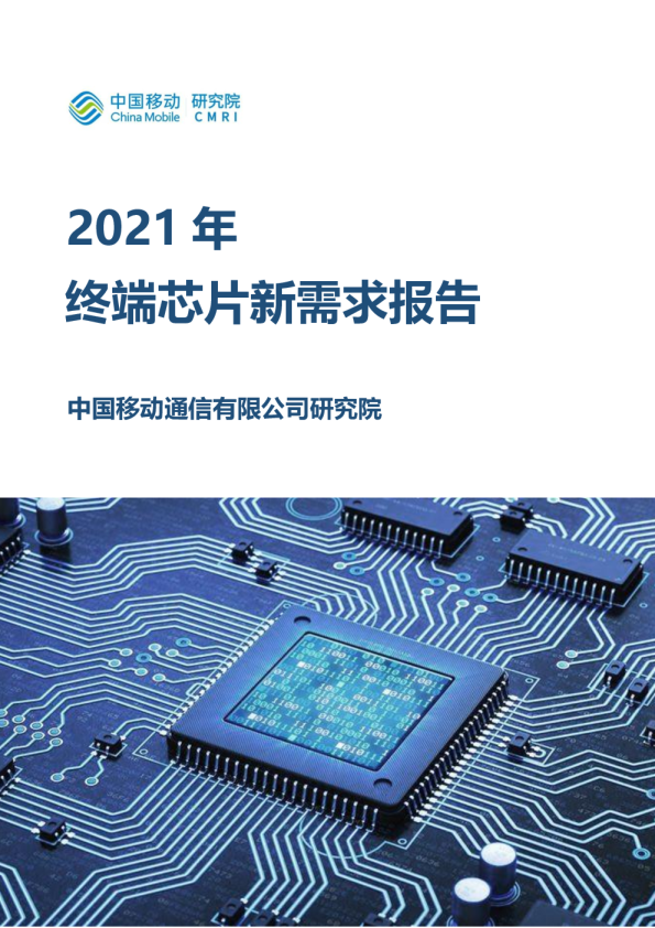 终端芯片新需求报告（2021）