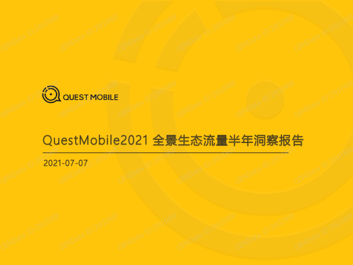 2021全景生态流量半年洞察报告