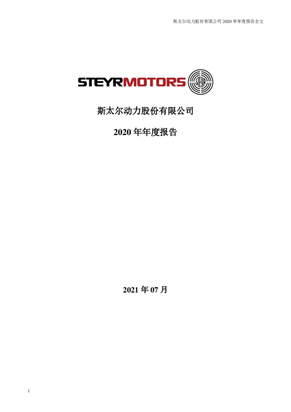 斯太退：2020年年度报告