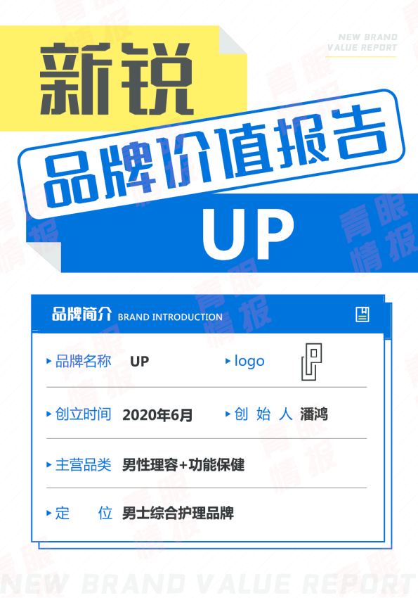 UP品牌价值报告