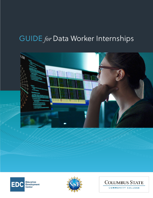 Guide for Data Worker Internships