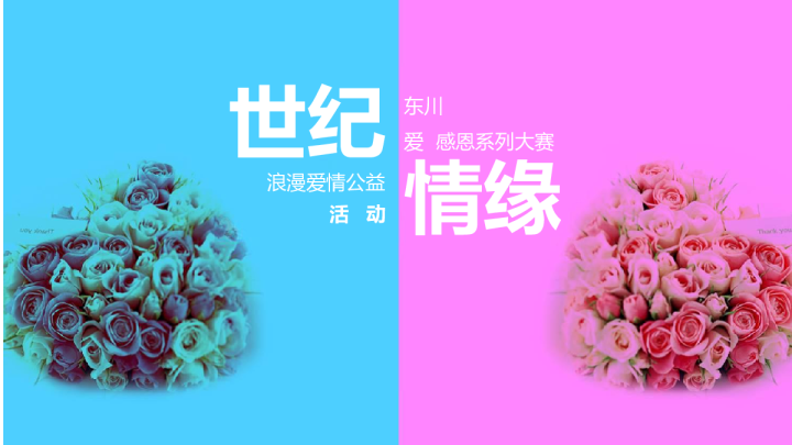 2018东川浪漫爱情公益8月房地产系列暖场活动策划案