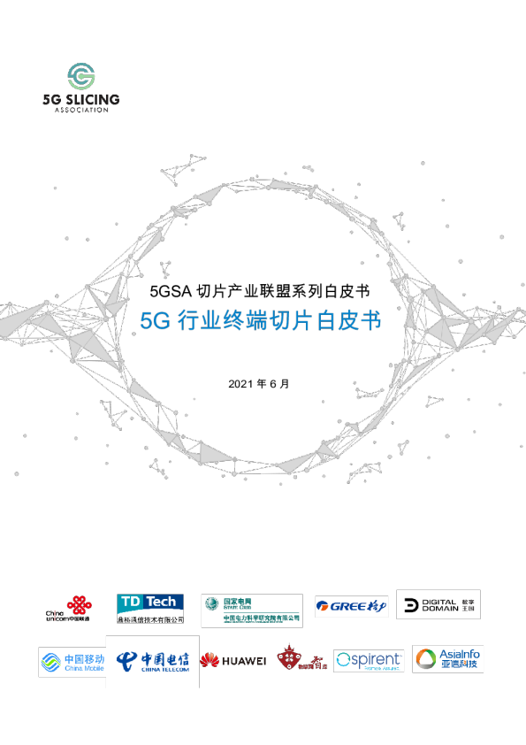 20215G行业终端切片白皮书
