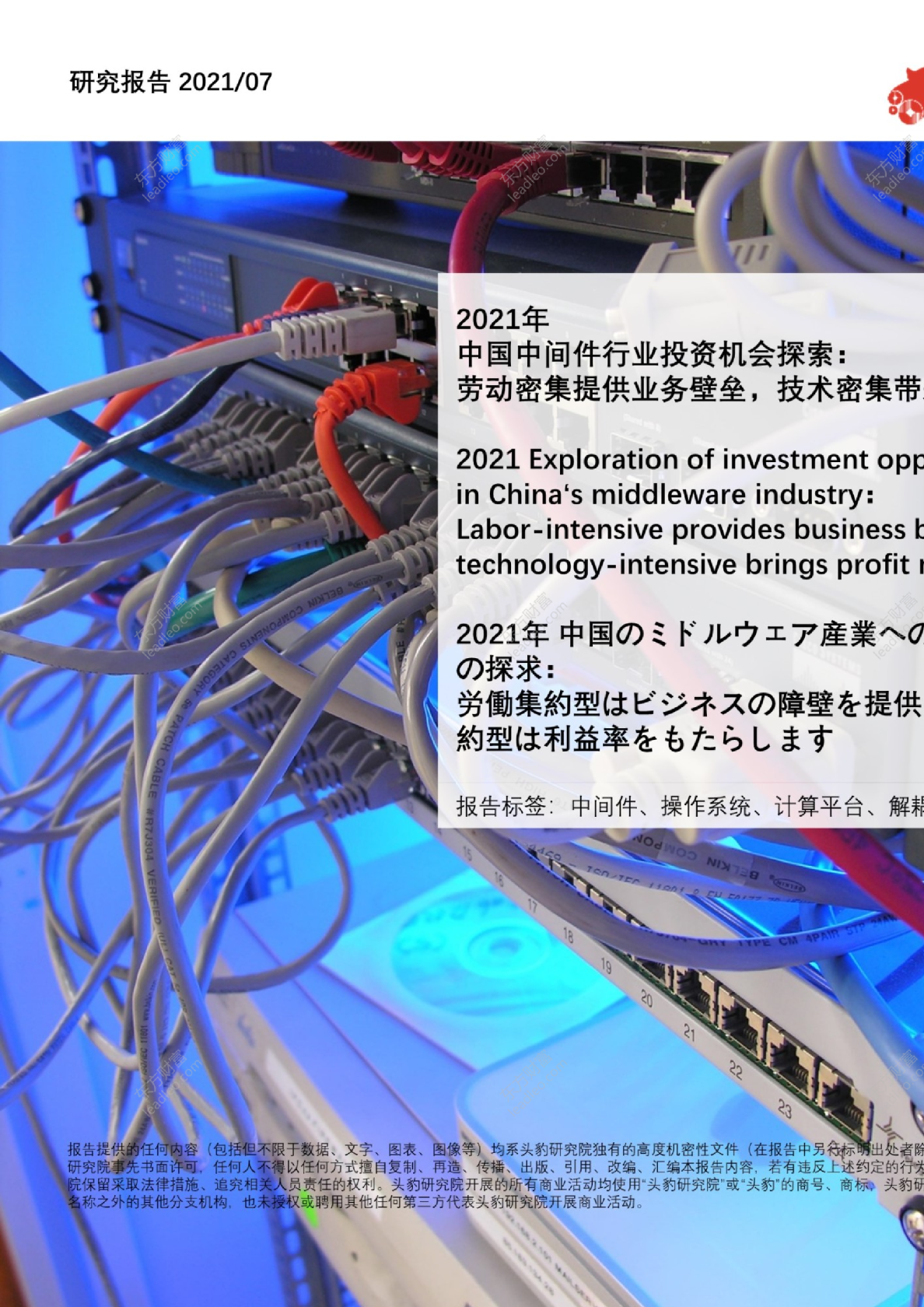 2021年中国中间件行业投资机会探索：劳动密集提供业务壁垒，技术密集带来利润空间