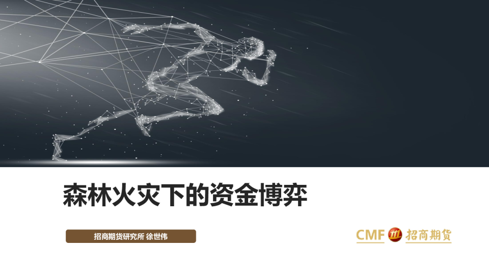 森林火灾下的资金博弈