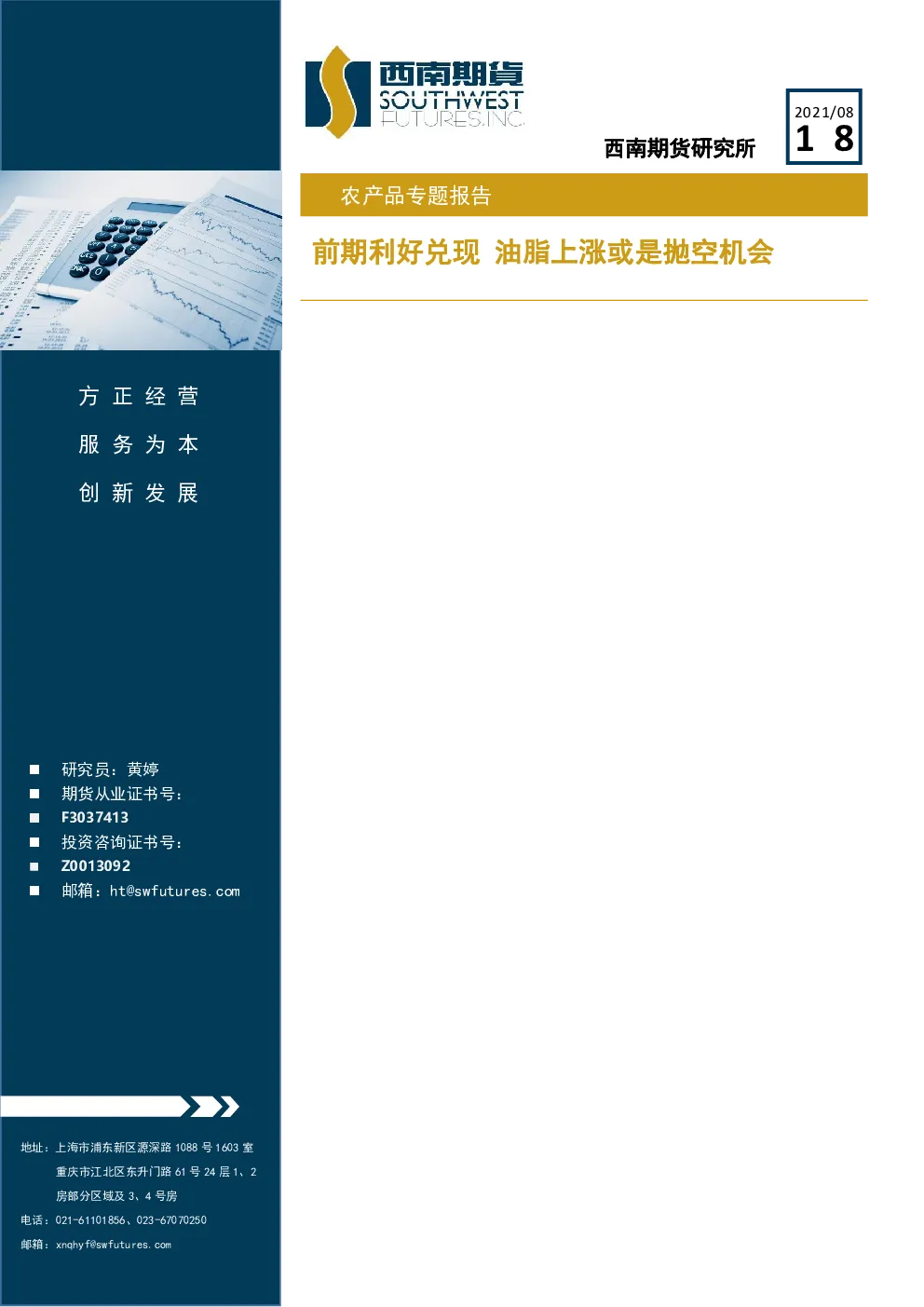 报告封面