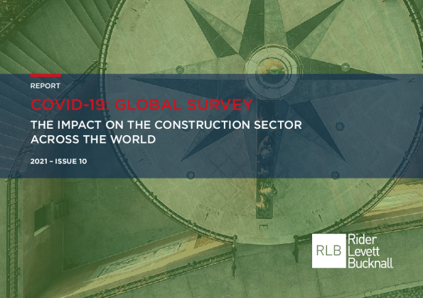 新冠肺炎：全球调查报告，第10期