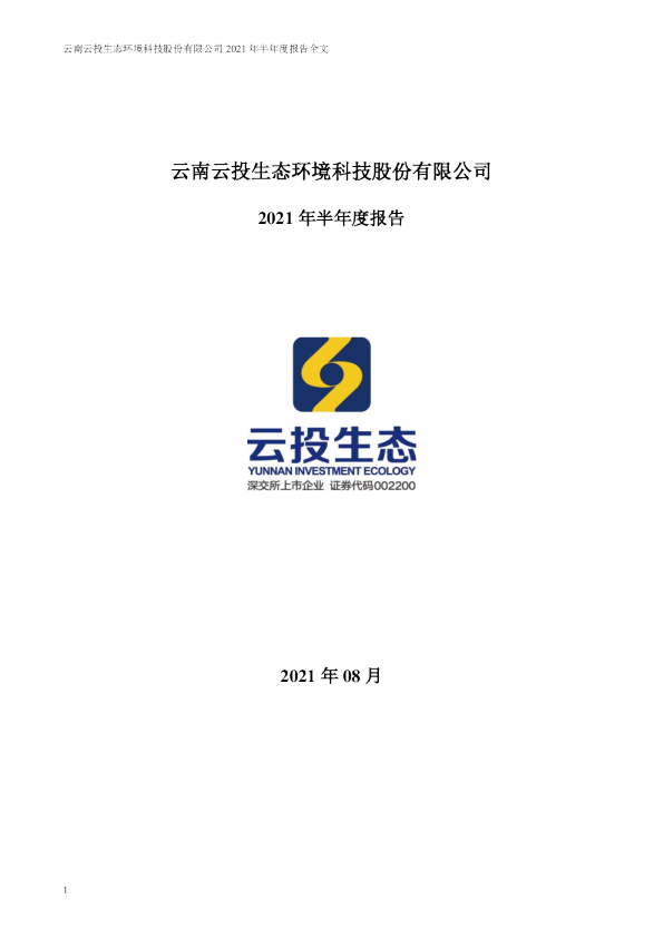 ST云投：2021年半年度报告