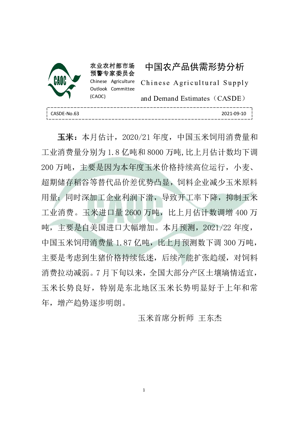 报告封面