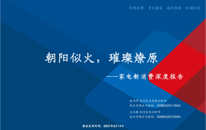 家电新消费深度报告：朝阳似火，璀璨燎原