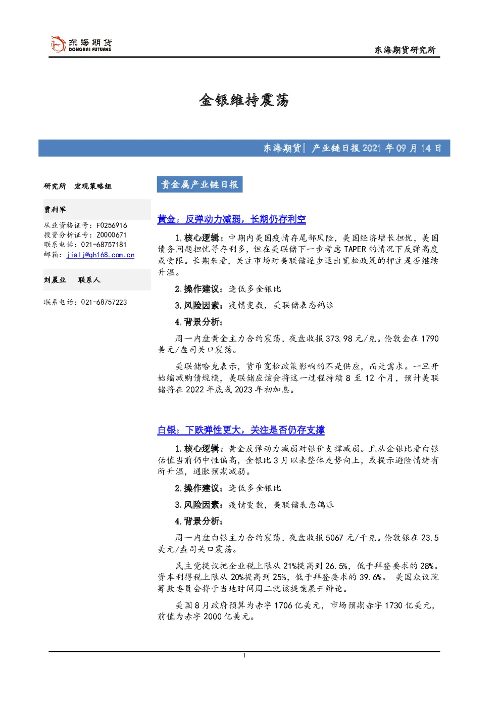 报告封面