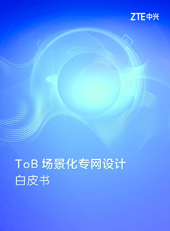 ToB场景化专网设计白皮书