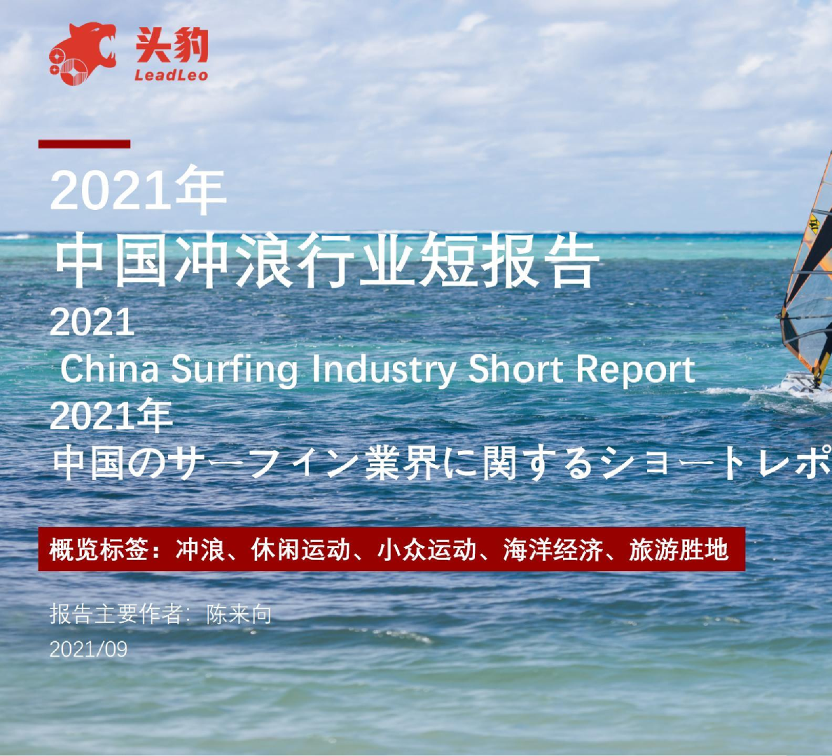 中国冲浪行业报告