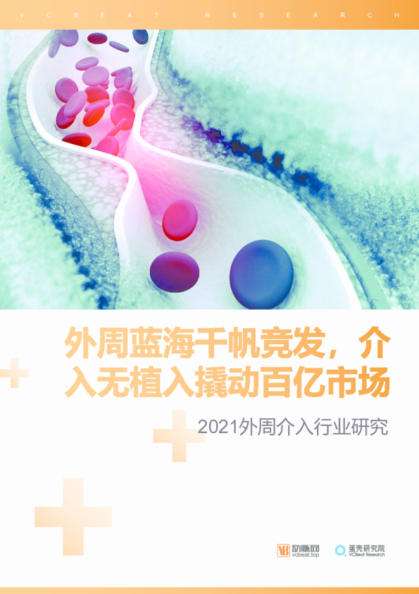 2021外周介入行业研究