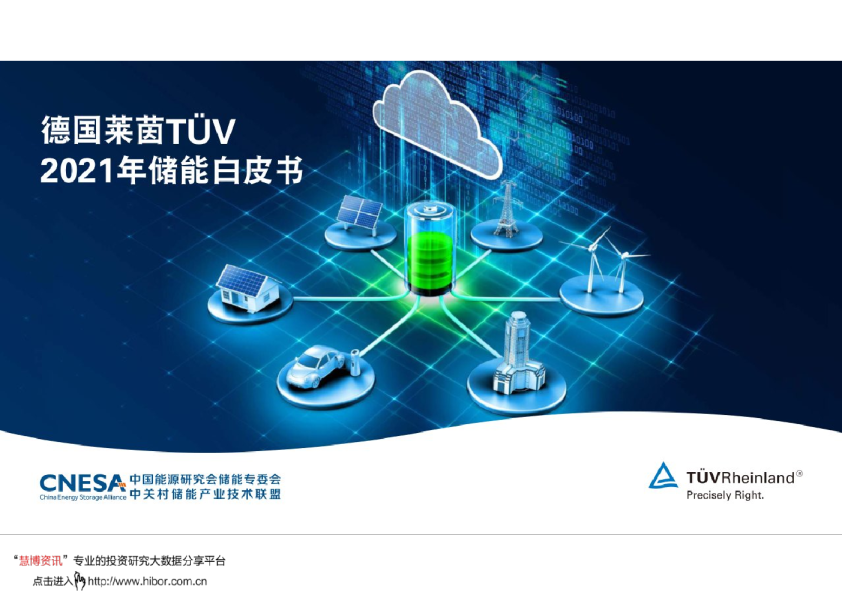 2021年储能白皮书