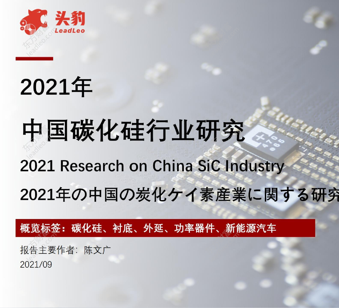 2021年中国碳化硅行业研究