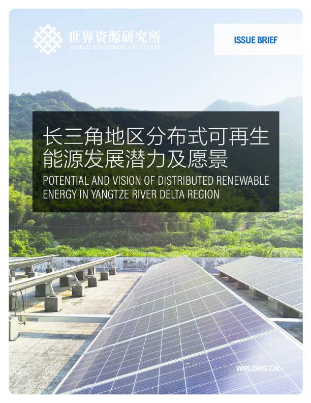 长三角地区分布式可再生能源发展潜力及愿景（2021）