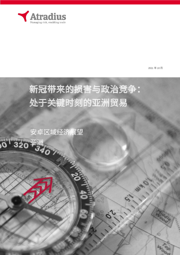 新冠带来的损害与政治竞争： 处于关键时刻的亚洲贸易