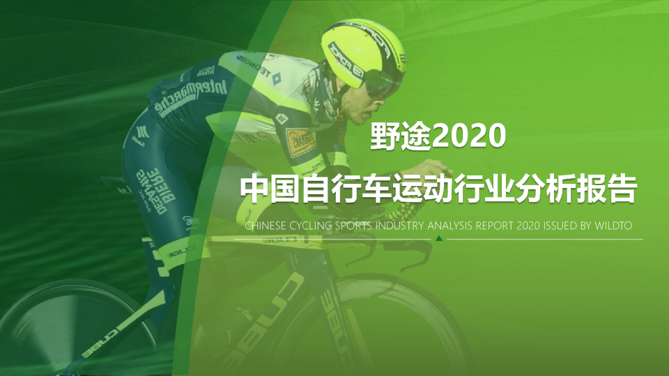 2020野途中国自行车行业分析报告