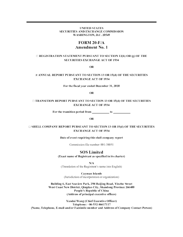 艾斯欧艾斯2020年度报告