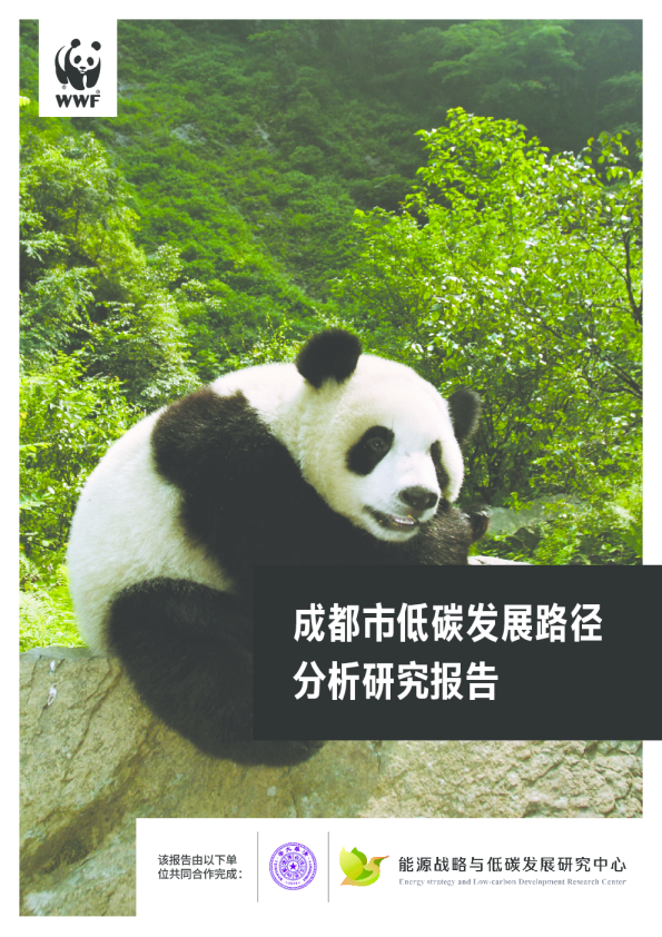 成都市低碳发展路径研究报告