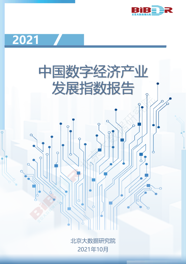 2021中国数字经济产业发展指数报告