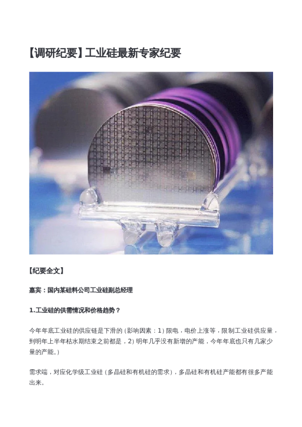 工业硅最新专家纪要
