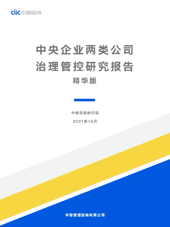 中智咨询中央企业两类公司治理管控研究报告精华版