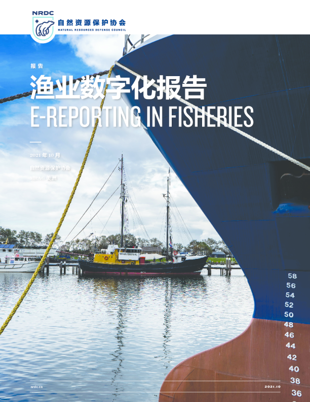 渔业数字化报告