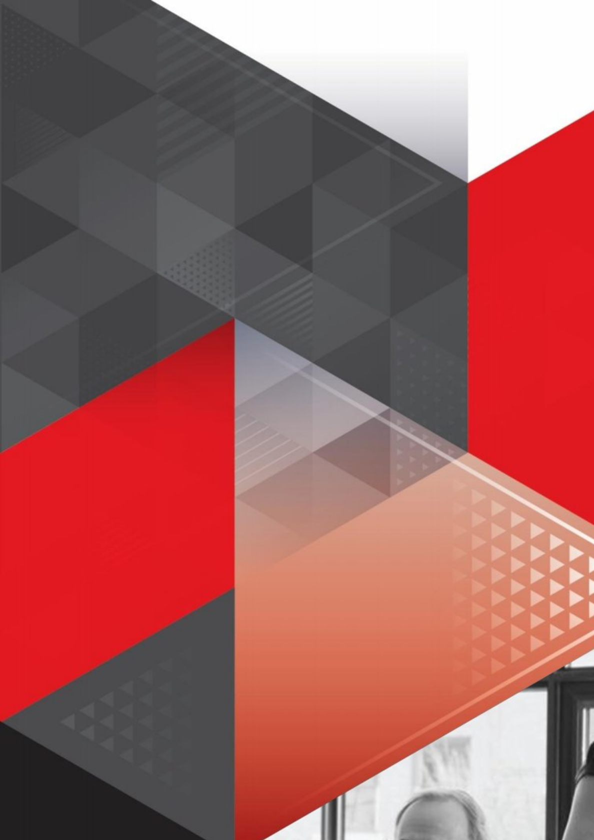 新经济下创新企业的高管画像剖析与激励方式研究