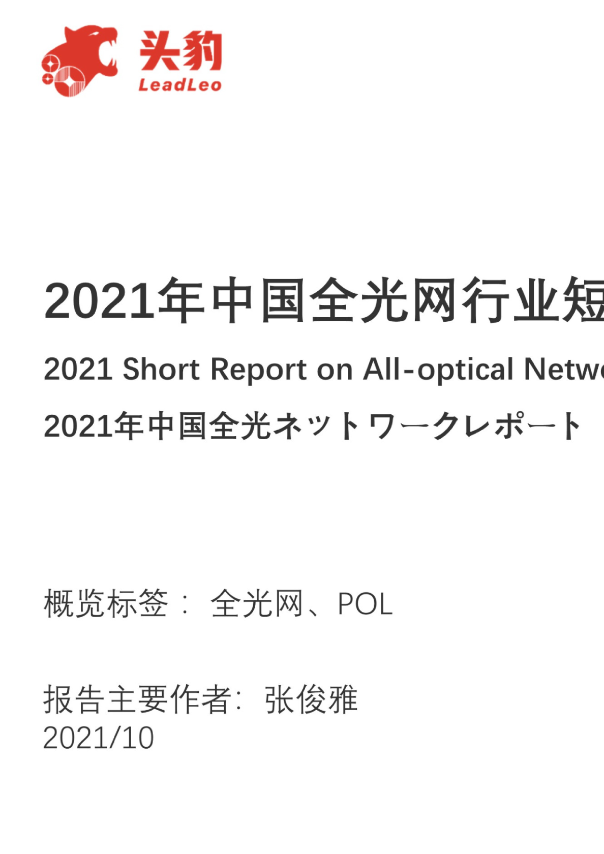 2021年中国全光网行业短报告