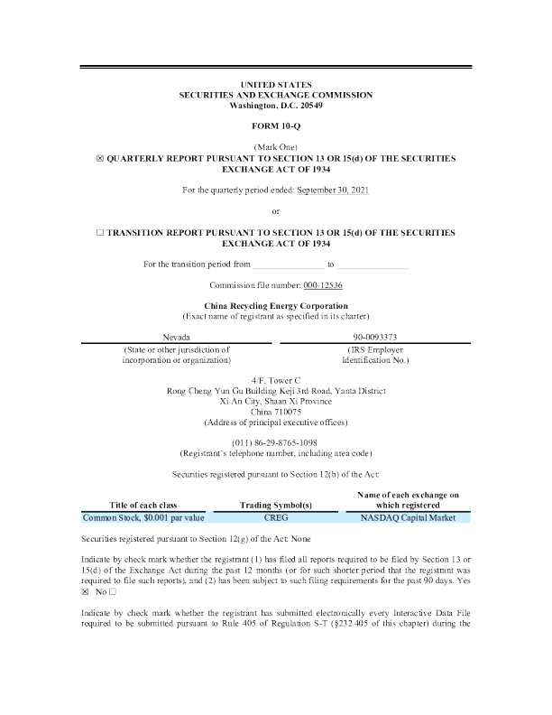 中国循环能源 2020年度报告