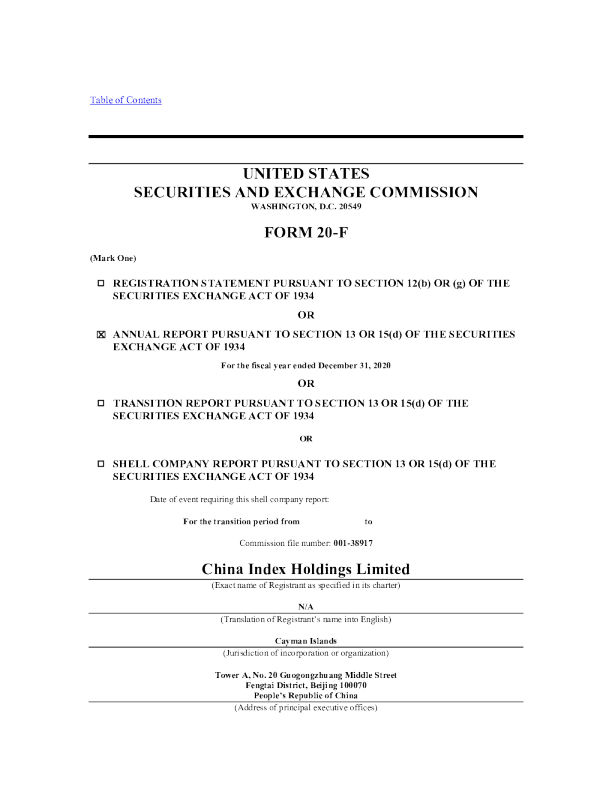 中指控股2020年度报告