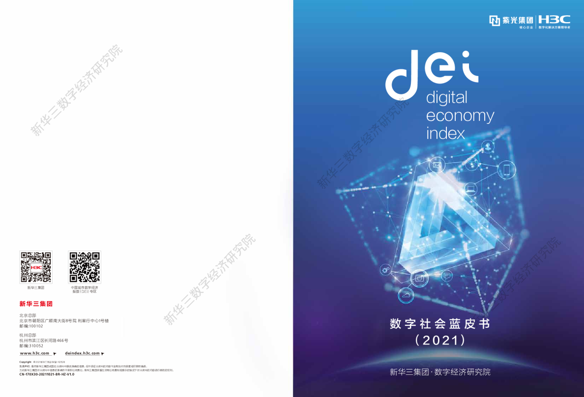 数字社会蓝皮书2021