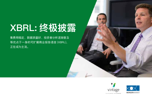 白皮书 – XBRL终极披露