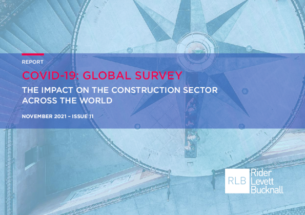 新冠肺炎：全球调查报告，第11期