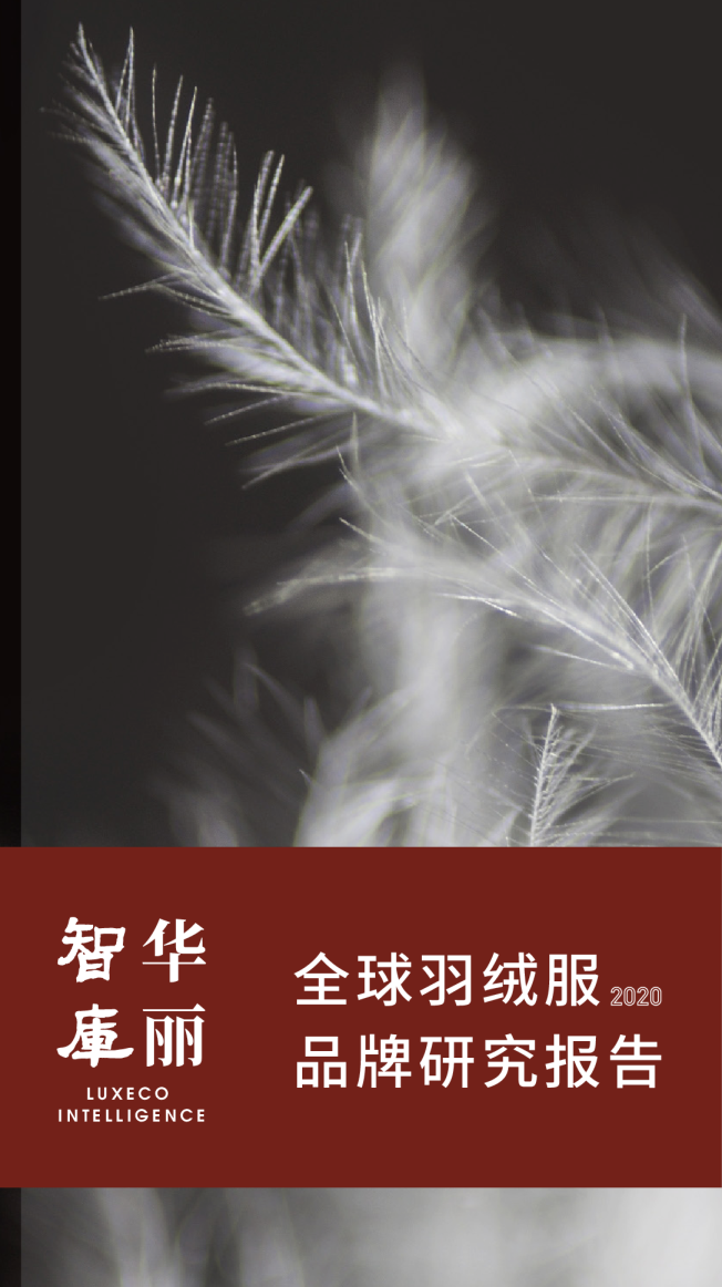 2020全球羽绒服品牌研究报告