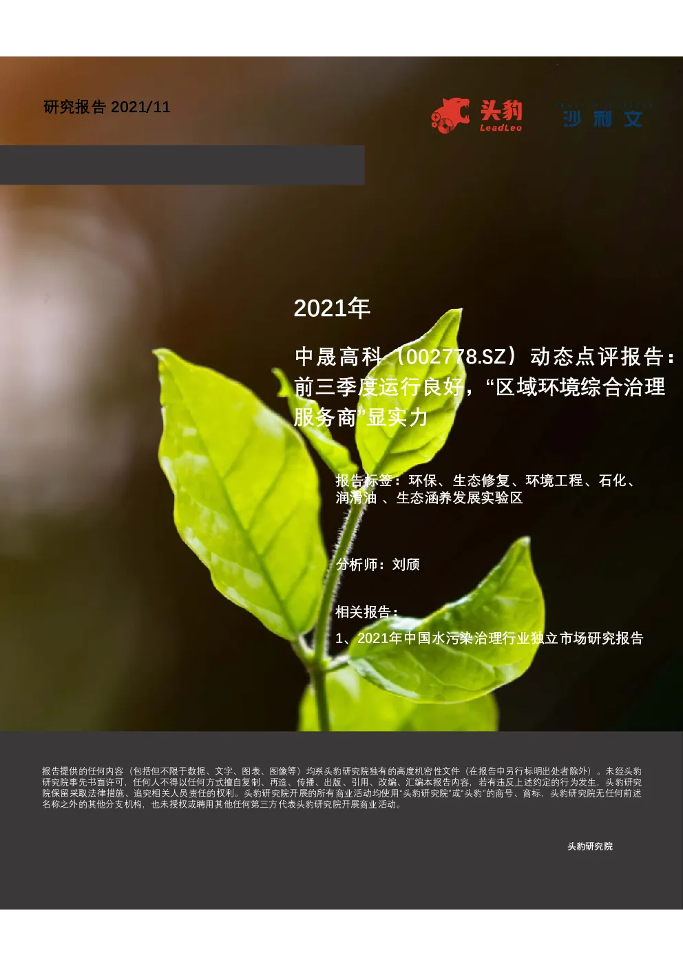 报告封面