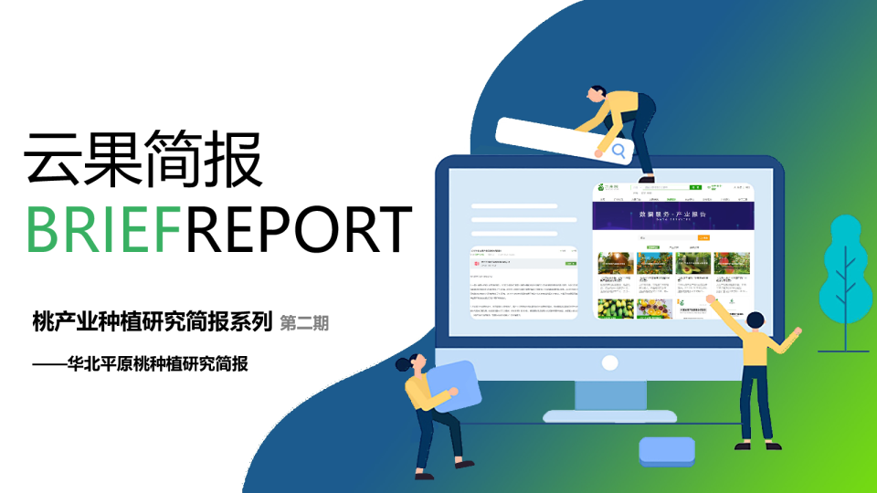 云果：桃产业种植研究简报系列（第二期） -华北平原桃种植研究简报