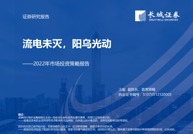 2022年市场投资策略报告：流电未灭，阳乌光动